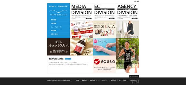 株式会社グランブルーのキャプチャ